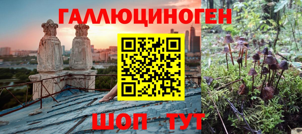 Снежинск  магазин    Вход с VPN  Галлюциногенные грибы прущие грибы 